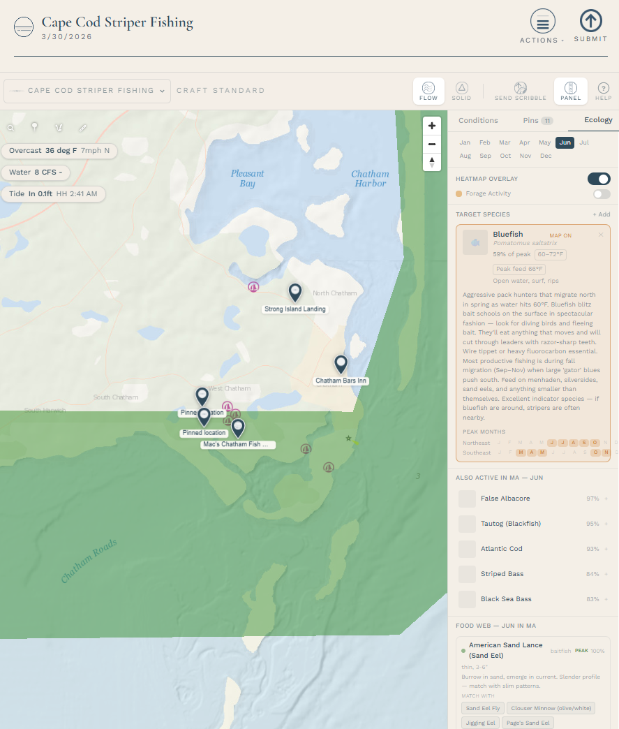 Scout workspace snapshot